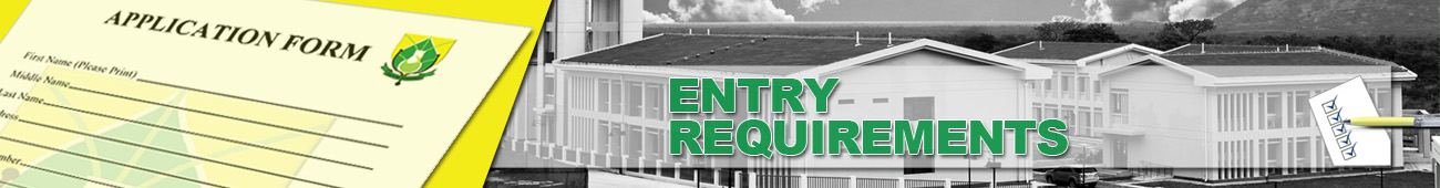 entry requirements banner