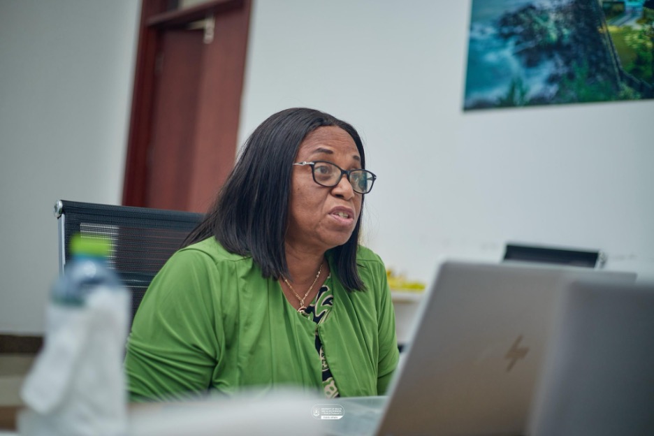 Professor Evelyn Korkor Ansah